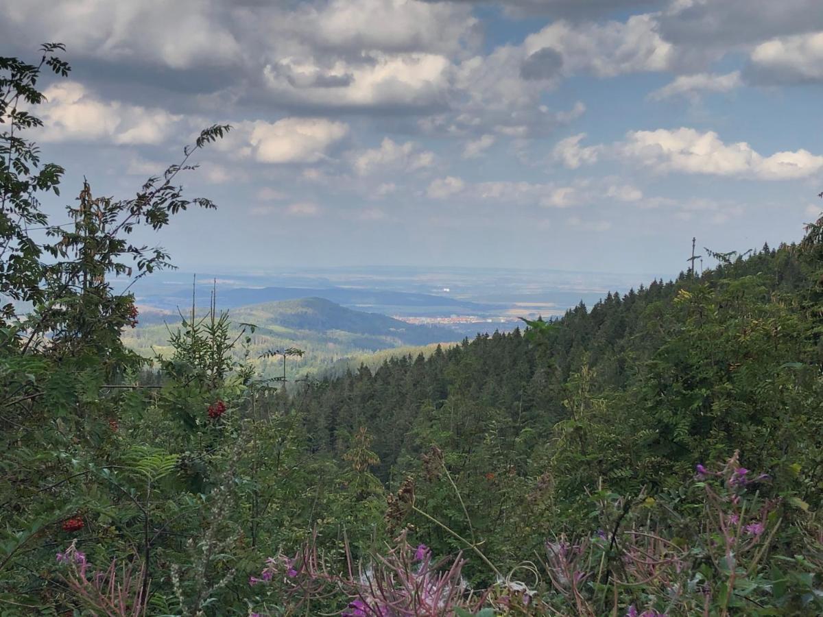 Bocksbergglueck In Hahnenklee, Endreinigung, Bezogene Betten, Handtuecher Inklusive 戈斯拉尔 外观 照片