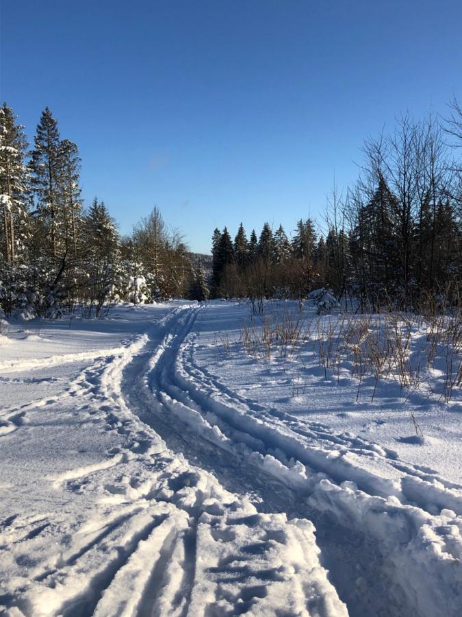 Bocksbergglueck In Hahnenklee, Endreinigung, Bezogene Betten, Handtuecher Inklusive 戈斯拉尔 外观 照片